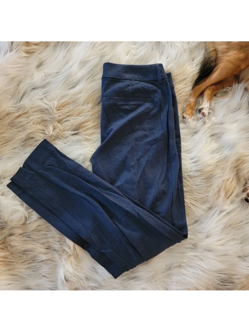 Old Navy Pixie Dress Pant Navy